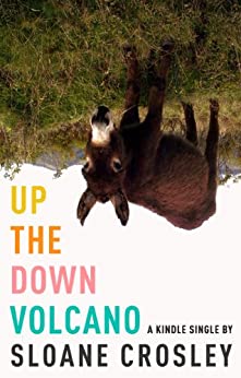 Sloane Crosley - Up the Down Volcano